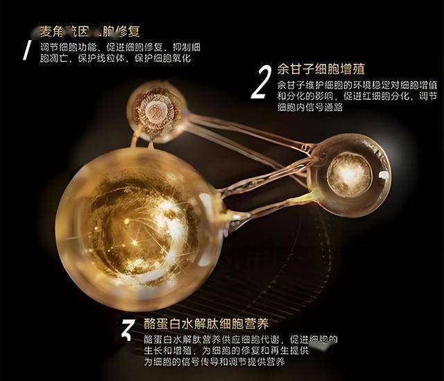 蓝莓mt5外汇交易平台大力推动康养地产 促进房地产转型替换